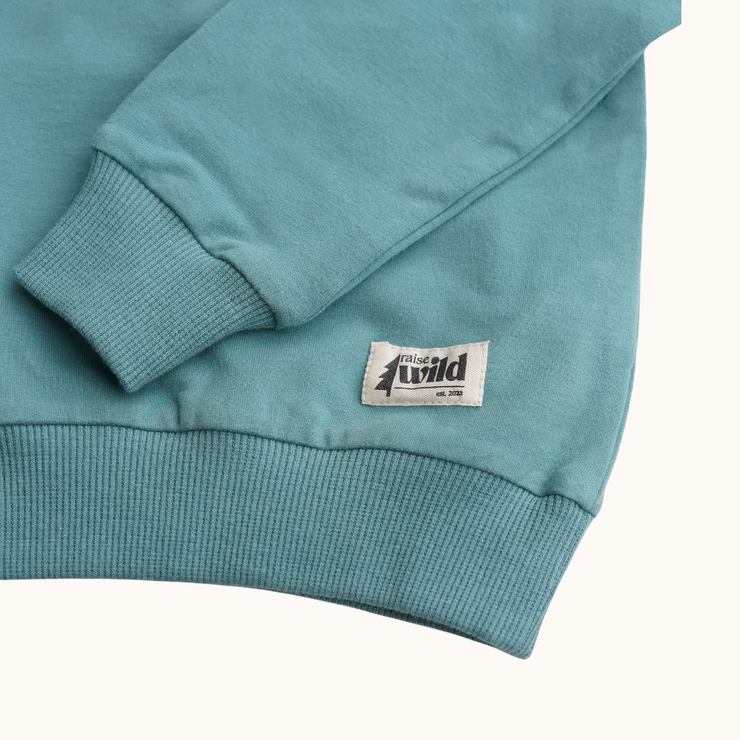 Kid's Organic Pullover in Teal