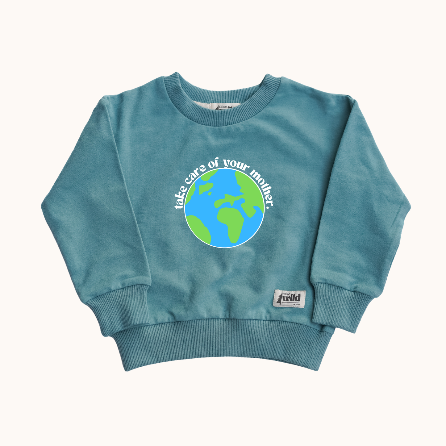 Kid's Organic Pullover in Teal